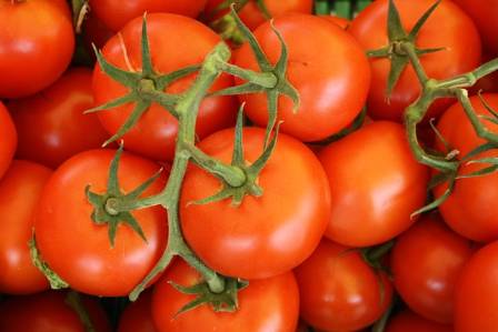 The Multifaceted Health Benefits of Tomatoes: A Comprehensive Overview