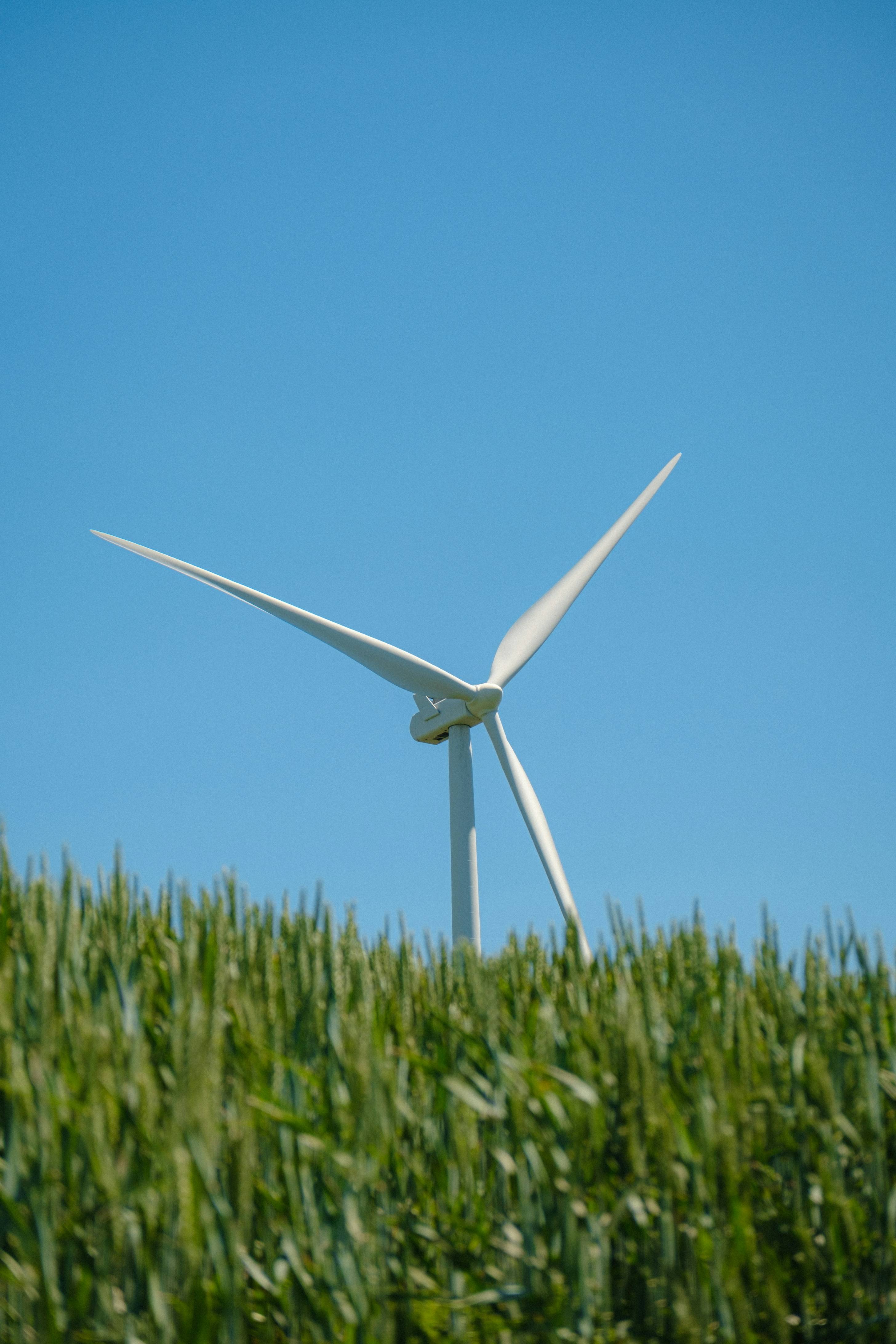 A wind turbine in a field of green grass