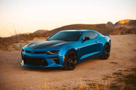 Unique Insights and Surprising Realities of the Motoring World