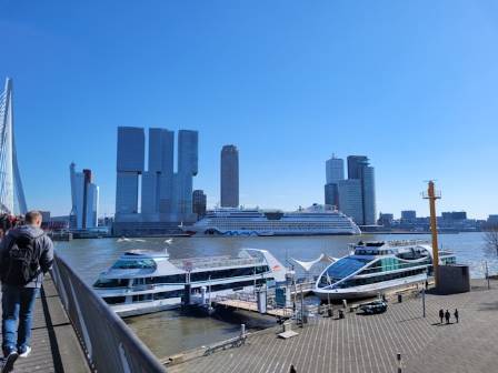 The Most Beautiful Connection: Erasmus Bridge