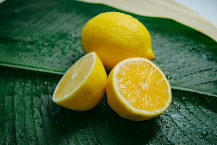 Power Food Combinations for Weight Loss