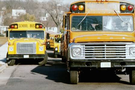 The 5 Most Iconic (Non-Standard) Buses Globally